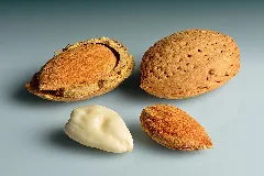 Marcona Almonds
