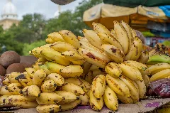 Organic Bananas (bunch)