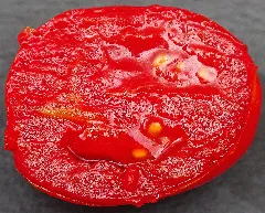 San Marzano DOP Tomatoes
